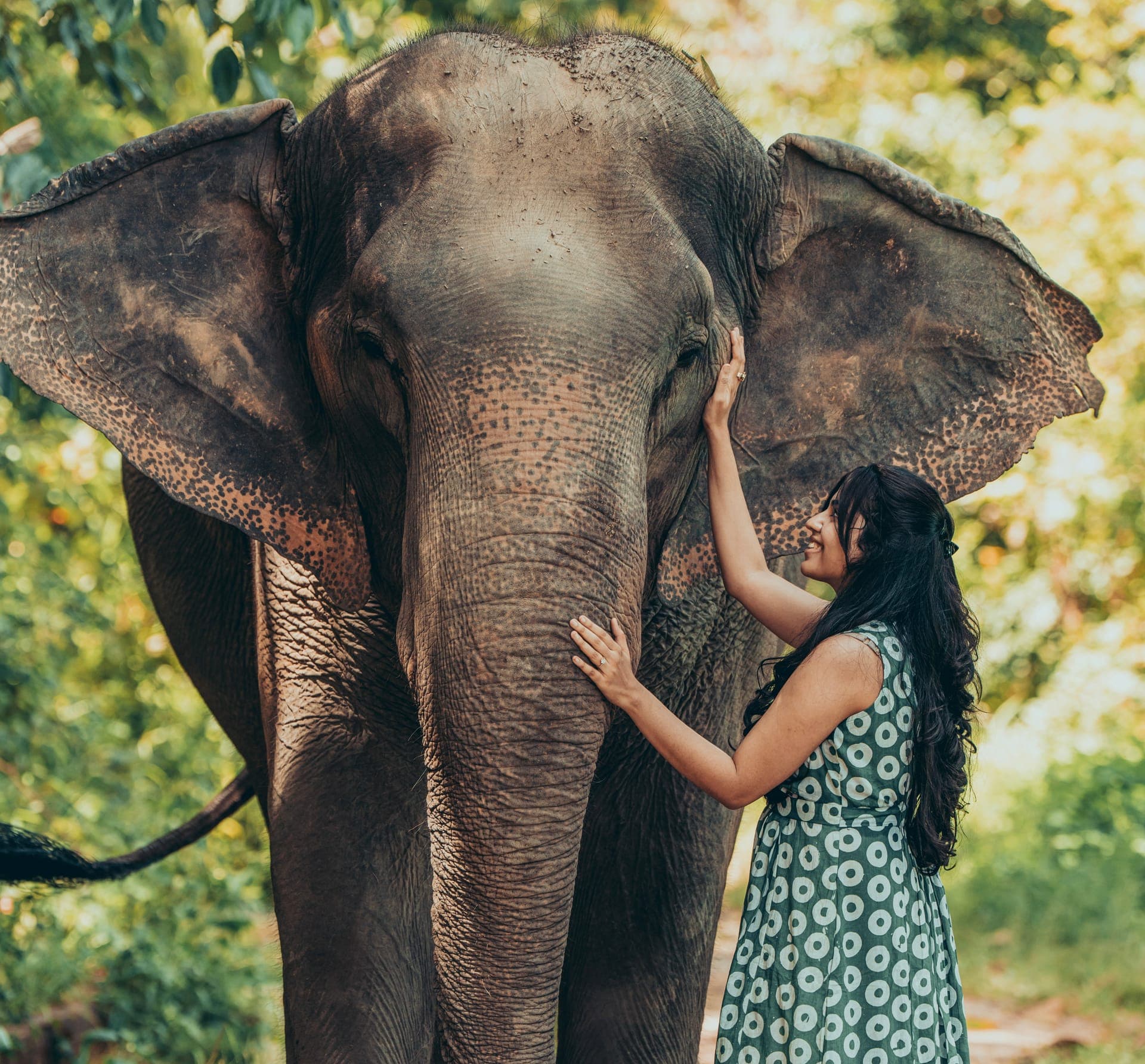 6 Days in Chiang Mai with a Toddler: Culture, Markets & Mountain Calm