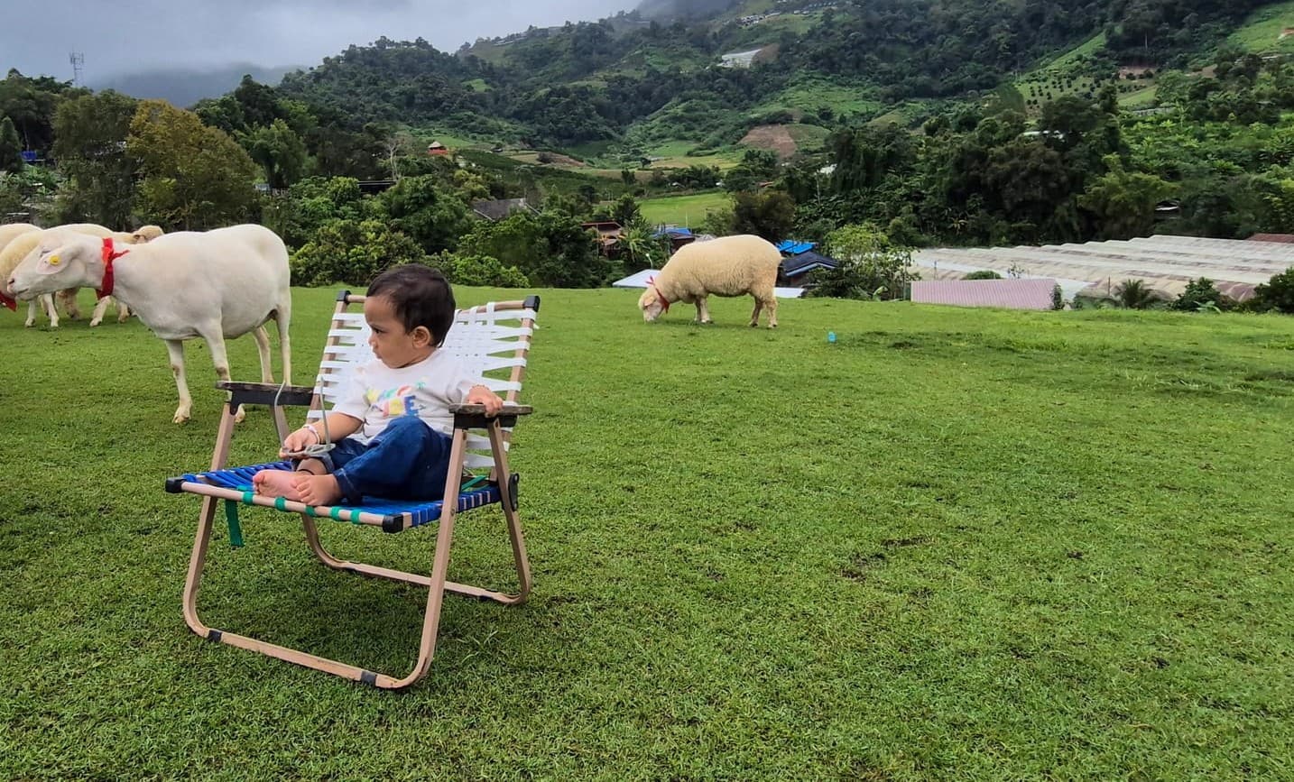 Travelling to Chiang Mai with a Baby: Tips, Essentials & What Made It Easy