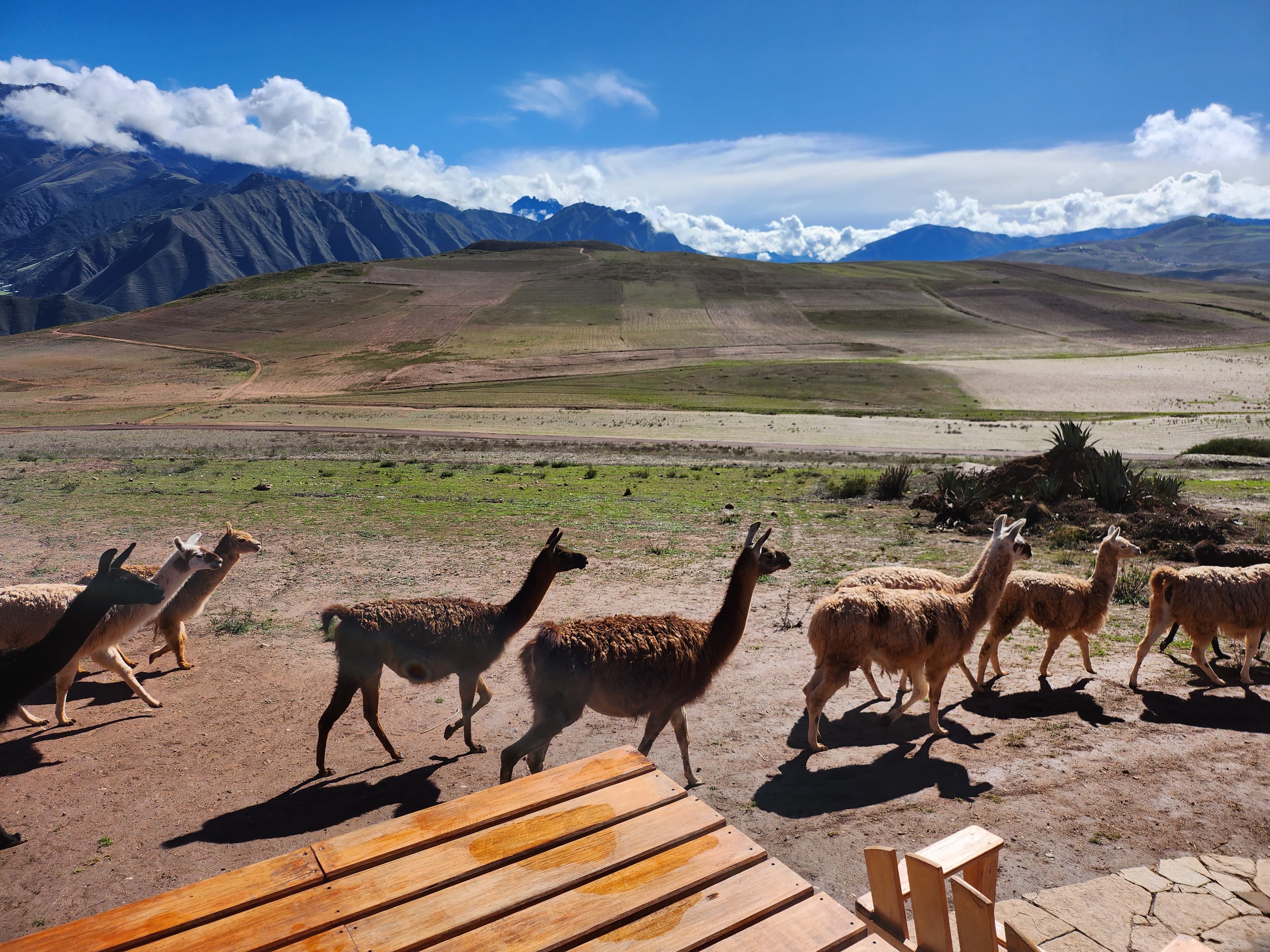 Peru