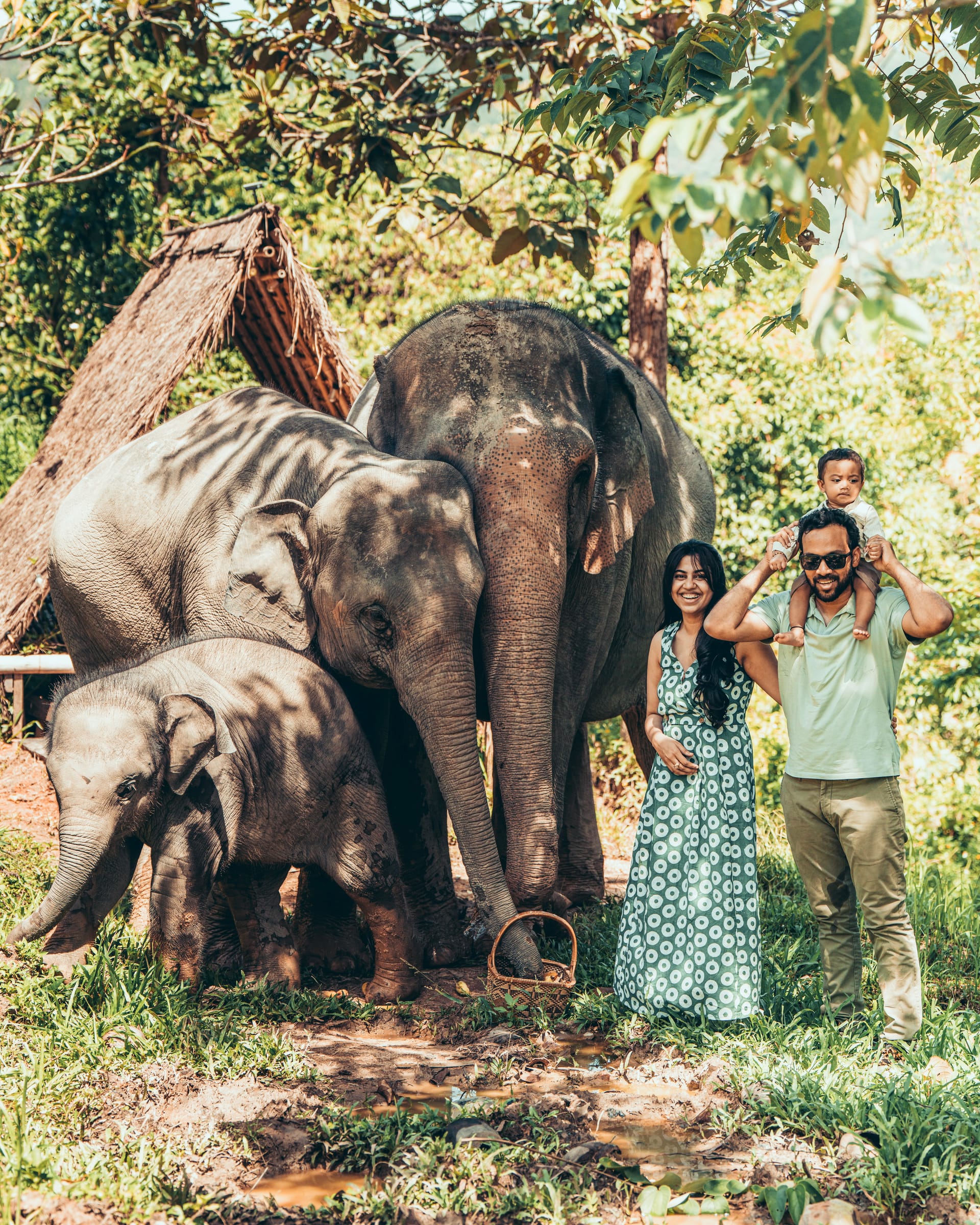 Family with elephants at Chai Lai Orchid Sanctuary