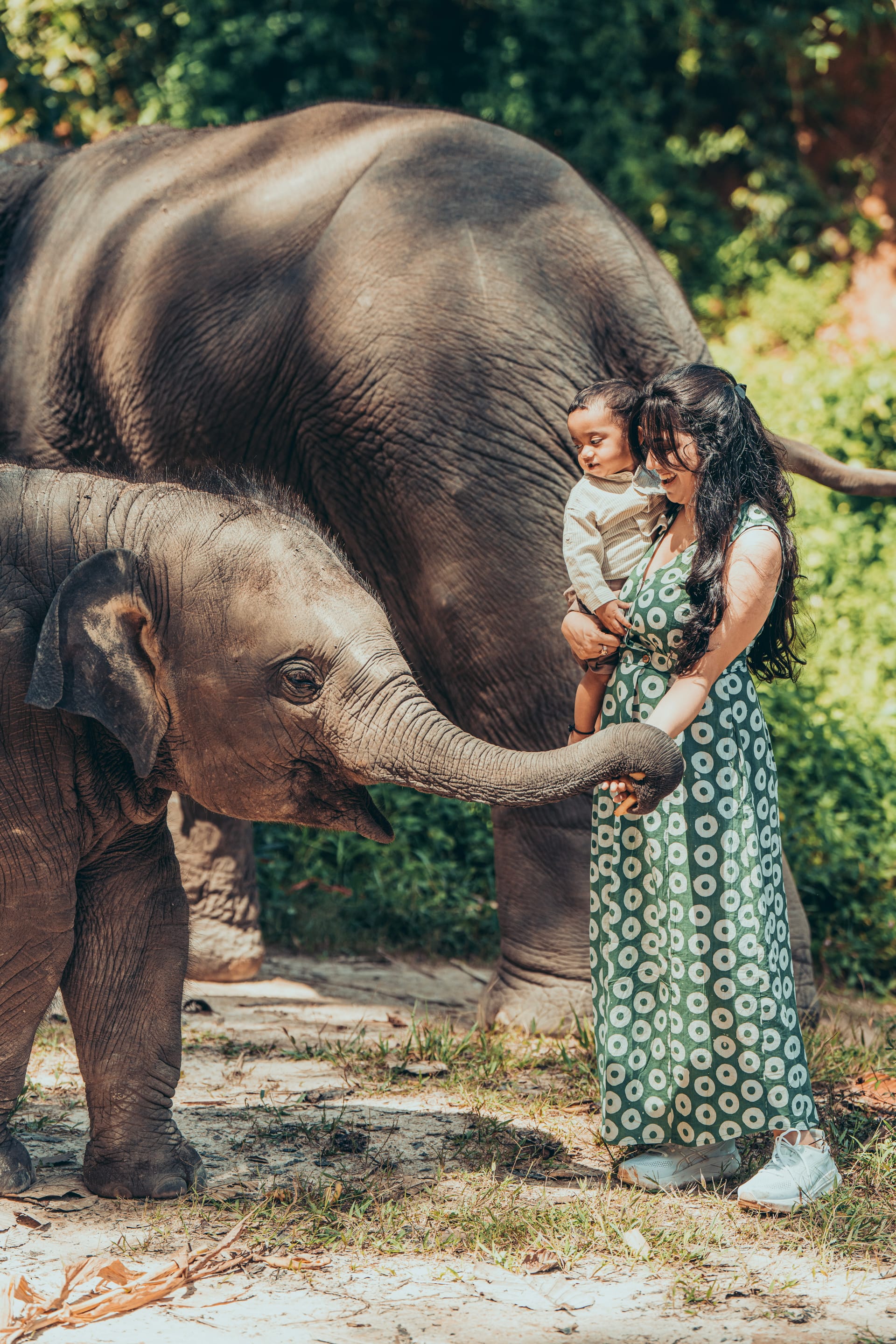 Mother holding baby with elephant at Chai Lai Sanctuary