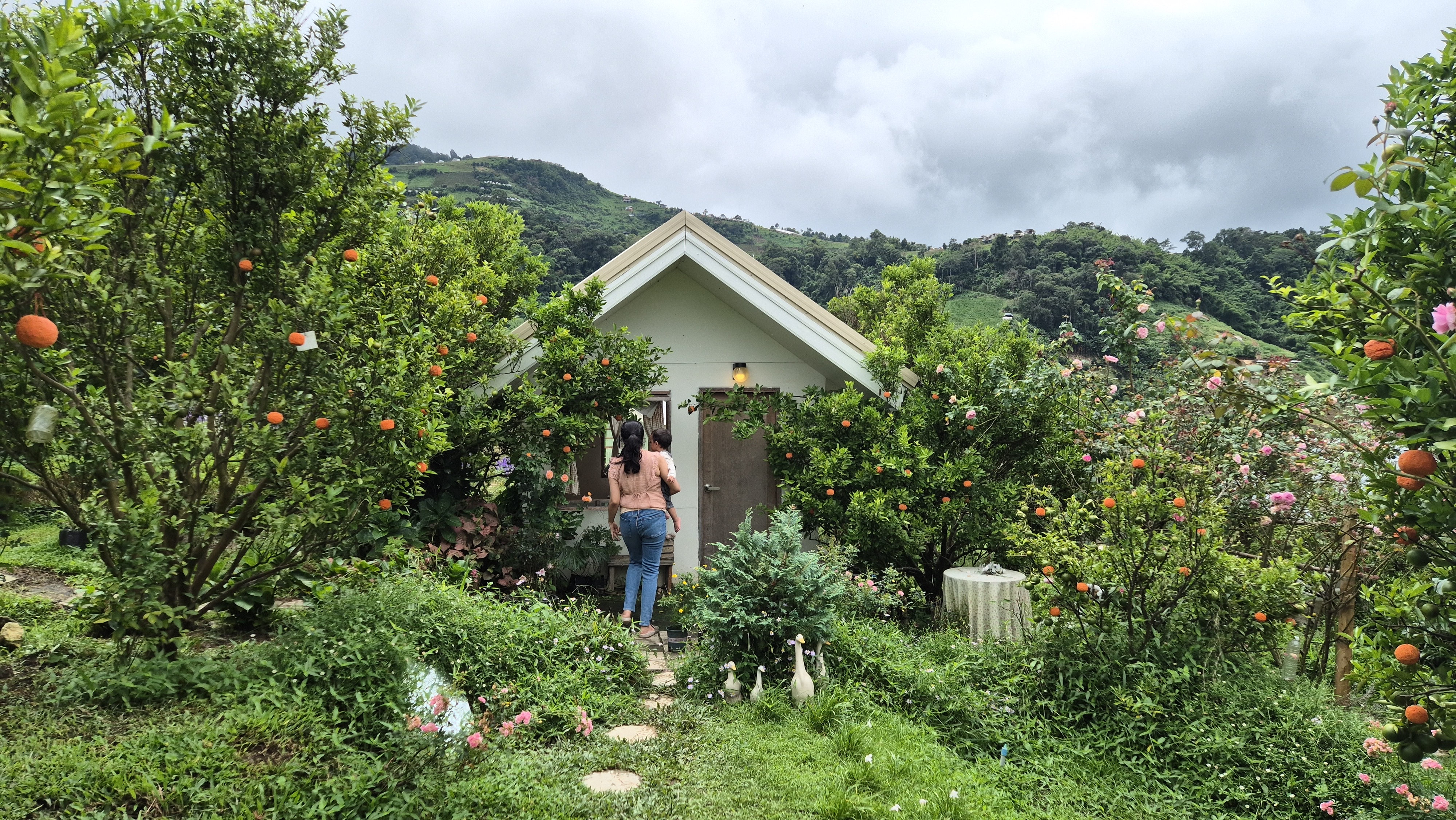 Jin Ju Orange Farm in Mae Rim