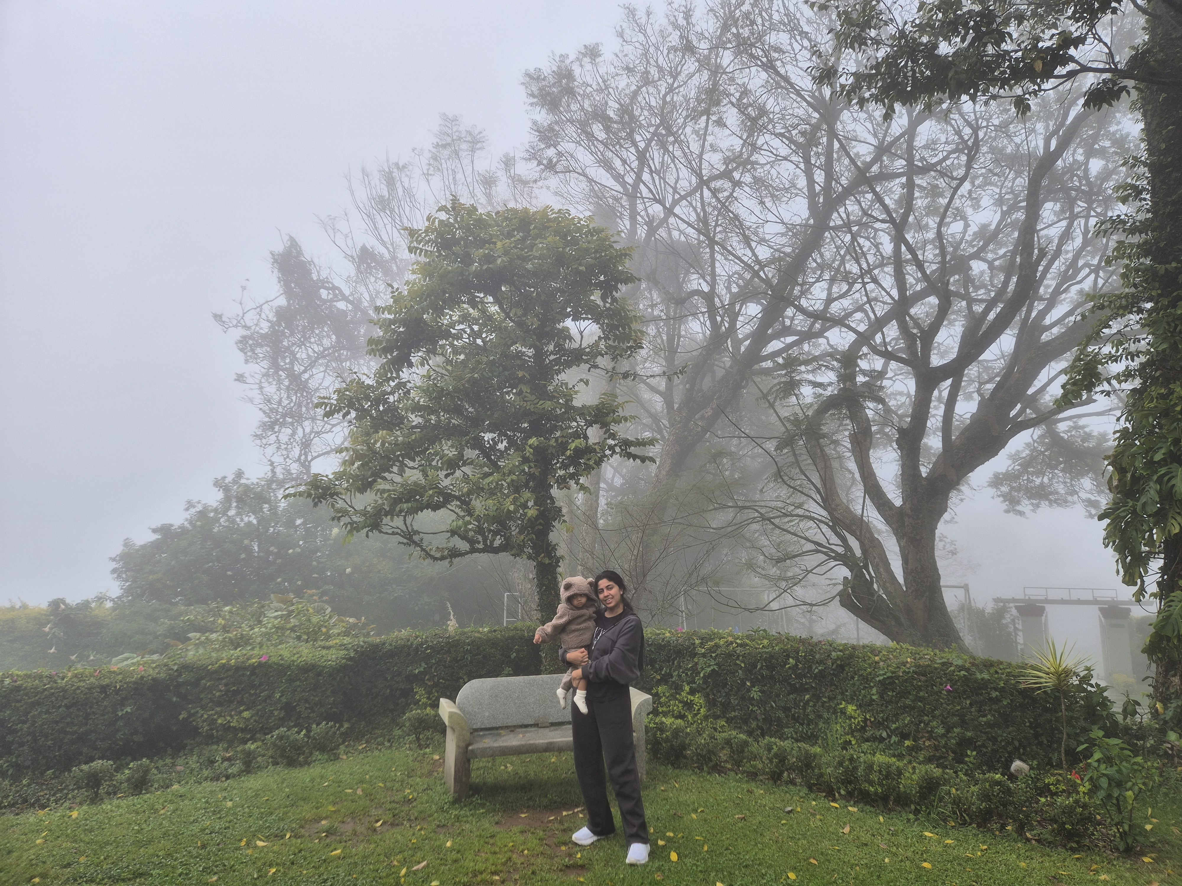 Misty Nilgiri mountains at dawn